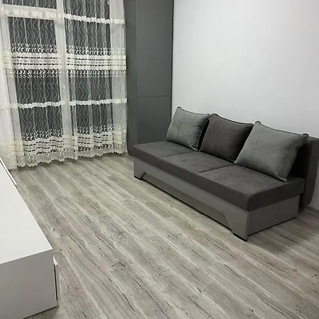 Ella Timisoara