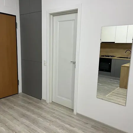 Ella Apartment Timisoara